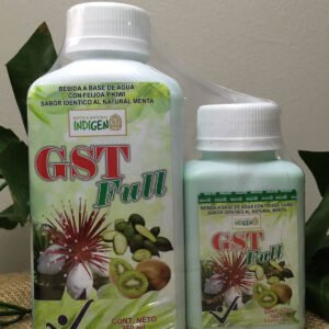 Imagen GST Full