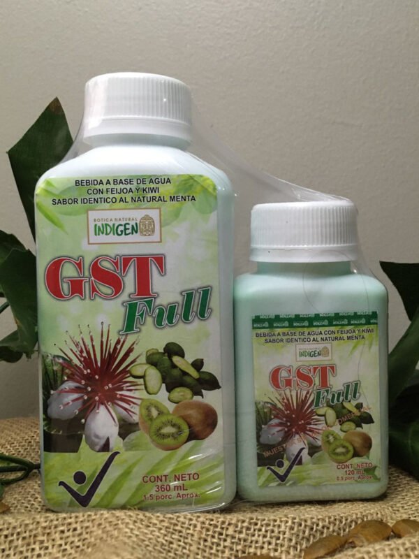 GST Full promo Imagen GST Full